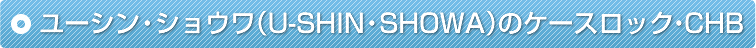���[�V���E�V���E���iU-SHIN�ESHOWA�j�̃P�[�X���b�N�ECHB