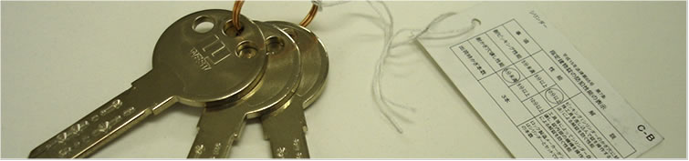 ���̎�ނ̎ʐ^